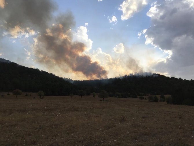 Bolu'da yıldırım düşmesi sonucu orman yangını çıktı
