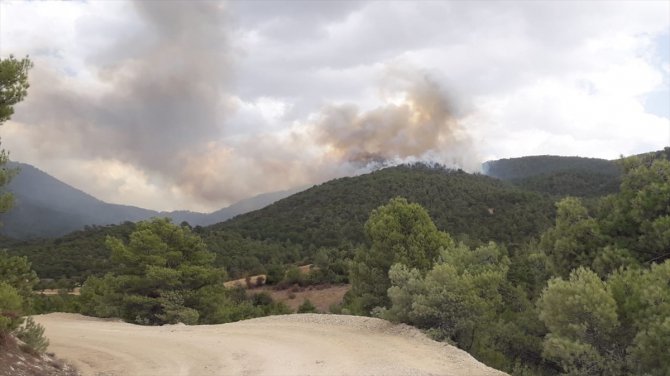 GÜNCELLEME - Bolu'da yıldırım düşmesi sonucu orman yangını çıktı