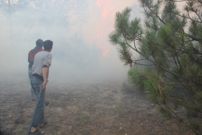 GÜNCELLEME - Kütahya'da çıkan orman yangını kontrol altına alındı
