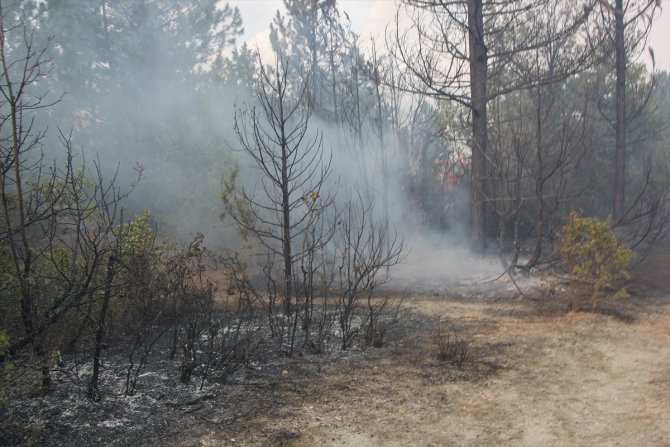 GÜNCELLEME - Kütahya'da çıkan orman yangını kontrol altına alındı