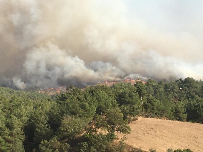 Manisa'nın Gördes ilçesinde orman yangını çıktı