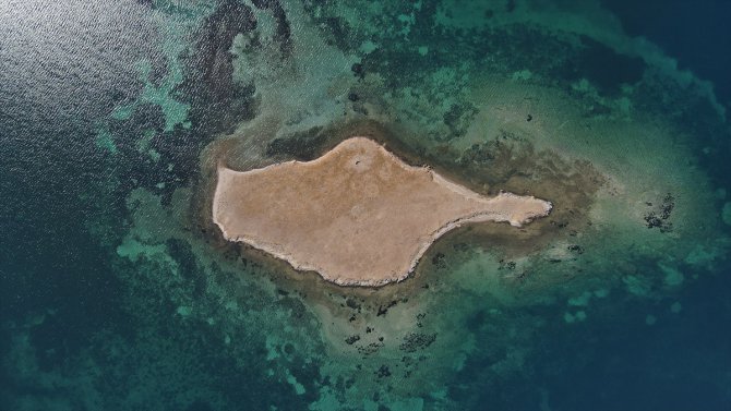 Taşlı Ada'nın "kesin korunacak hassas alan" ilan edilmesi