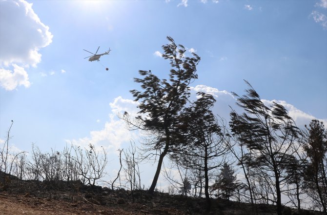 GÜNCELLEME - Manisa'da çıkan orman yangını kontrol altına alındı
