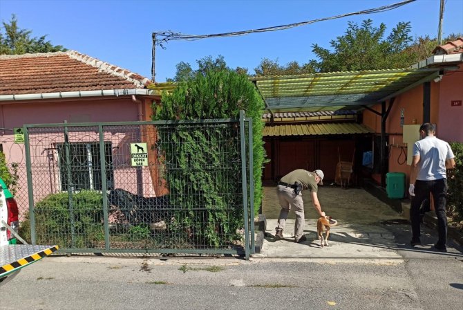 Çekmeköy'de köpeğe şiddet uygulayan kişiye para cezası