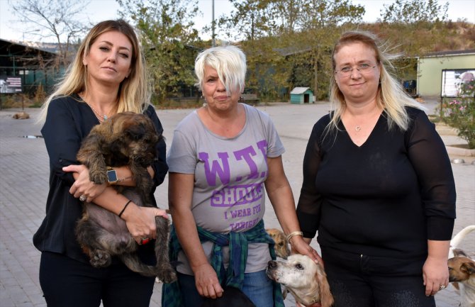 Hayvansever kadınların kurduğu klinikte sokak hayvanları ücretsiz iyileştiriliyor