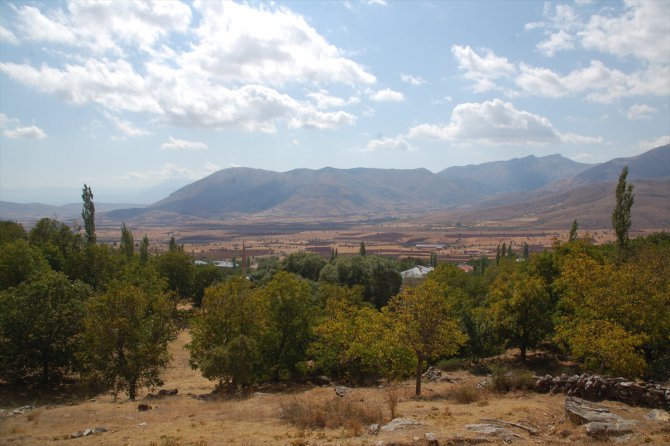 Kahramanmaraş'ta "Ata-dede"cevizinin hasadına başlandı