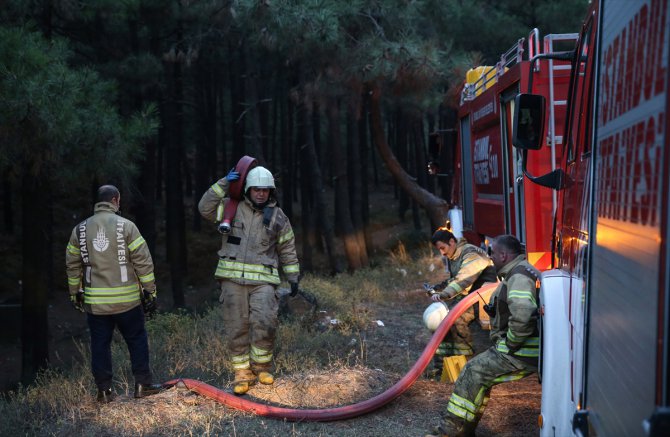 GÜNCELLEME - Kartal'da ormanlık alanda çıkan yangın kontrol altına alındı