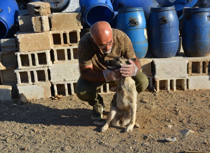 Gaziantep'teki üç ayaklı köpek sıcak tavırlarıyla ilgi odağı oldu