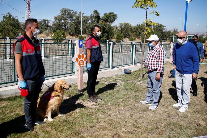 Kayseri'de köpekler için "pati yolu" açıldı
