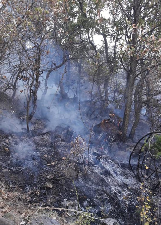 Beypazarı ilçesinde çıkan orman yangını kontrol altına alındı