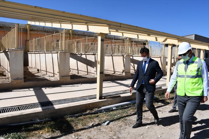 Sivas Kangal Köpeği Üretim Eğitim ve Koruma Merkezi'nin yapımında sona yaklaşıldı