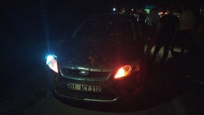 Adana'da 3 aracın çarptığı sürüdeki 23 keçi telef oldu