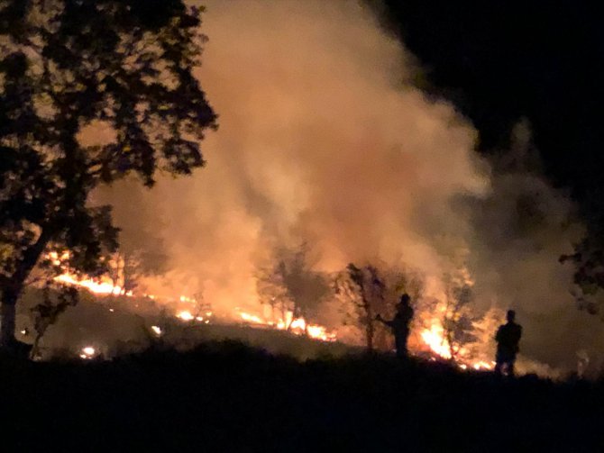 GÜNCELLEME - Aydın'da çıkan orman yangını kontrol altına alındı