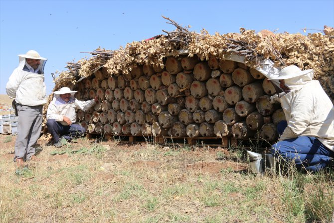 Herekol Dağı eteklerinde huzur ortamında bal üretimi yapılıyor