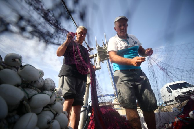 Palamut bolluğu balıkçıların yüzünü güldürüyor