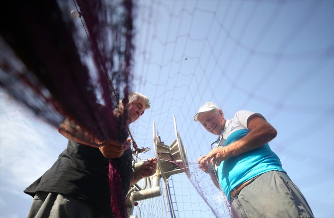 Palamut bolluğu balıkçıların yüzünü güldürüyor