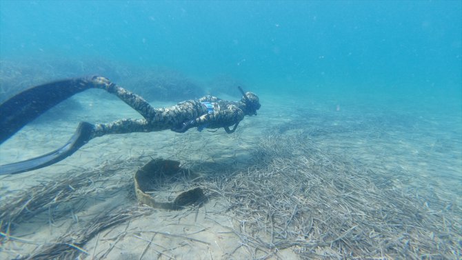 Bodrum'da dalgıçlardan deniz dibi temizliği
