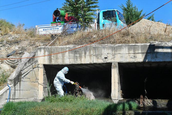 ABB Ankara Çayı'nda biyolojik temizlik başlattı