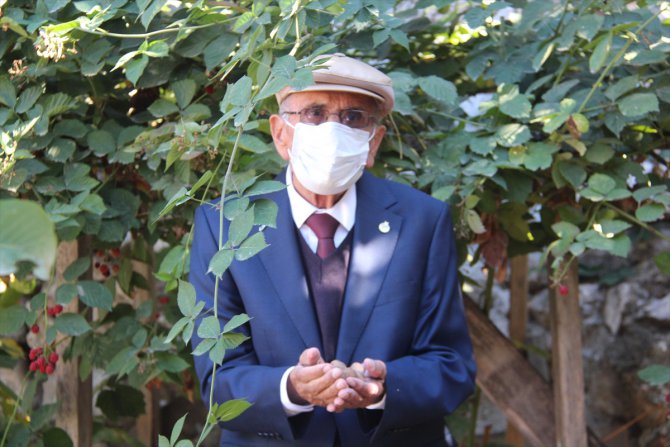 Amasya'da 91 yaşındaki Kovid-19'u yenen hasta taburcu edildi