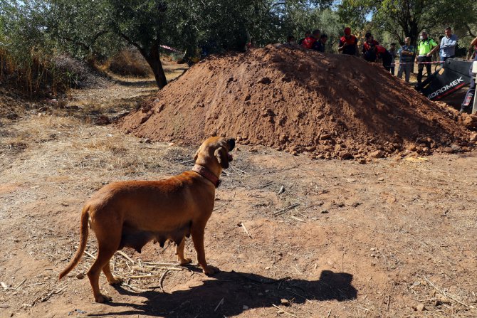 Aydın'da 6 metrelik deliğe düşen köpek yavrusu 1,5 saatlik çalışmayla kurtarıldı