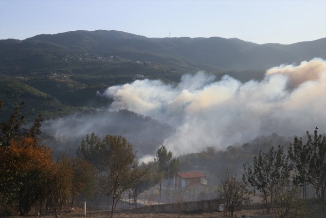 GÜNCELLEME - Suriye'nin Hatay sınırındaki orman yangını