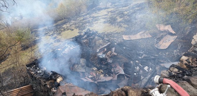 Maçka'da ormanlık alana sıçrayan yangın kontrol altına alındı