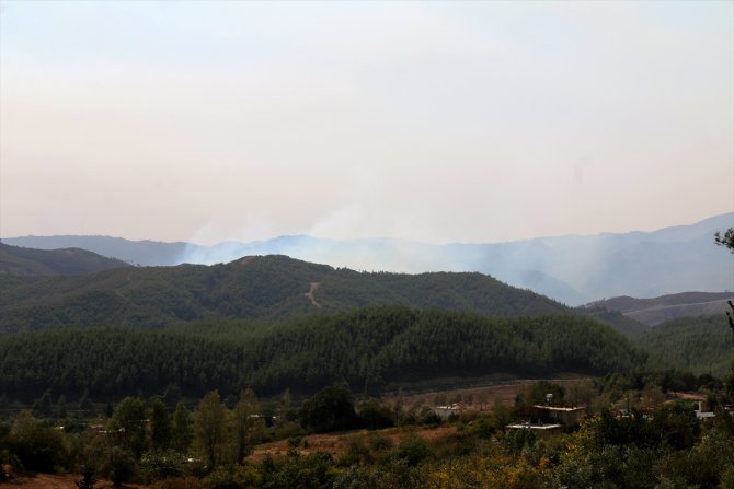 Suriye'nin Hatay sınırında orman yangını çıktı