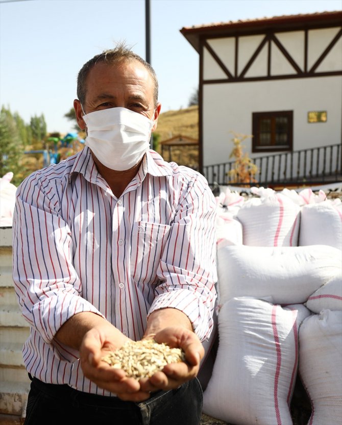 Keçiören Belediyesi'nden çiftçilere tohum desteği
