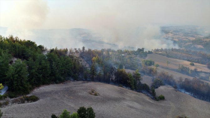 GÜNCELLEME - Osmaniye'de çıkan orman yangınına müdahale ediliyor