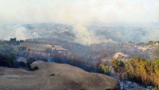 GÜNCELLEME - Osmaniye'de çıkan orman yangınına müdahale ediliyor