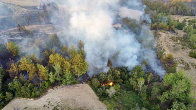 GÜNCELLEME 2 - Osmaniye'de çıkan orman yangınına müdahale ediliyor