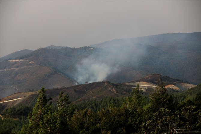 Suriye'nin Hatay sınırındaki orman yangını sürüyor