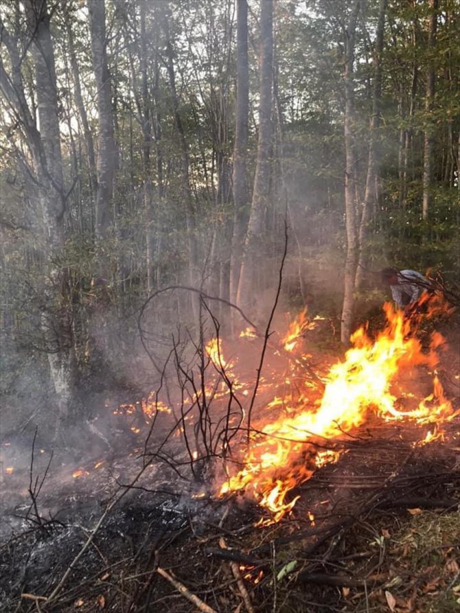 Ordu'da orman yangınına müdahale eden kişi yaşamını yitirdi