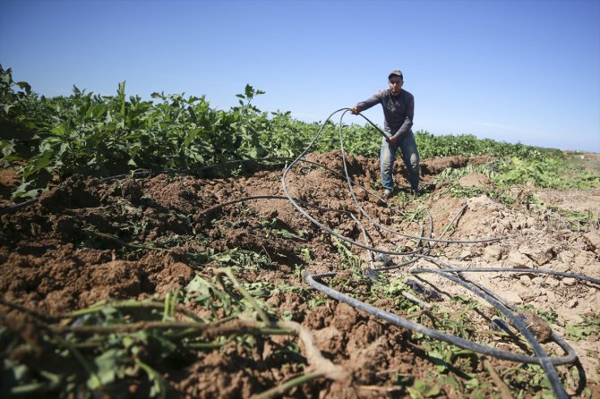 İsrail güçleri Gazze sınırındaki tarım arazilerine buldozerlerle zarar verdi