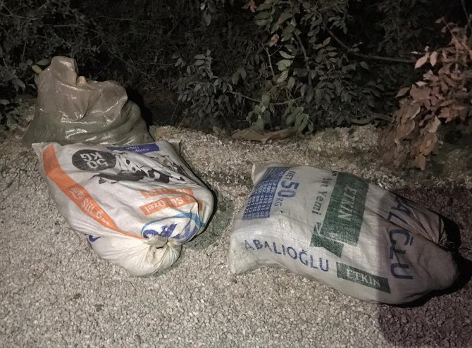 Antalya'da güvenlik kamerasına yansıyan avokado hırsızlığıyla ilgili 2 kardeş yakalandı