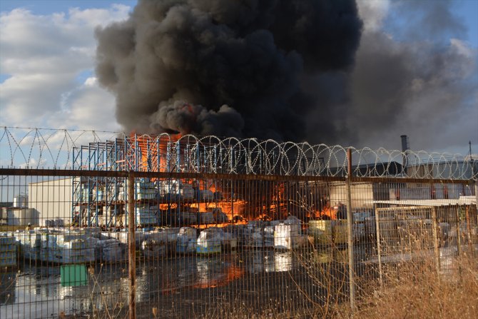 GÜNCELLEME - Ayvalık'ta zeytinyağı fabrikasının bahçesinde çıkan yangın kontrol altına alındı