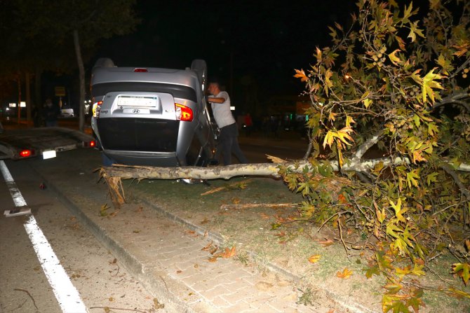 Düzce'de ağaca çarparak devrilen otomobildeki 3 kişi yaralandı