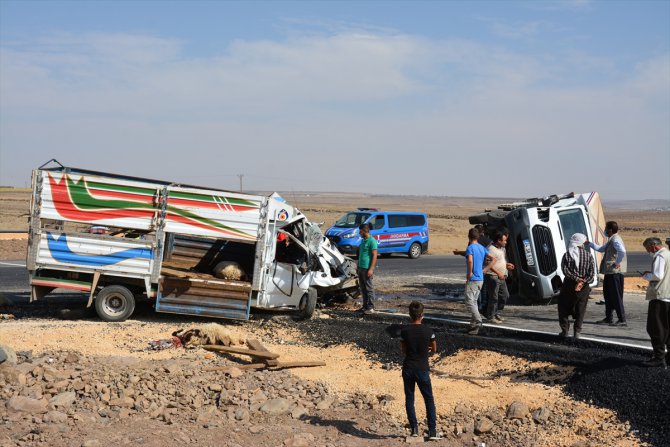Şanlıurfa'da iki kamyonet çarpıştı: 3 yaralı