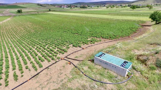 DSİ yatırımlarıyla Afyonkarahisar'daki 590 bin dekar tarım arazisi sulandı