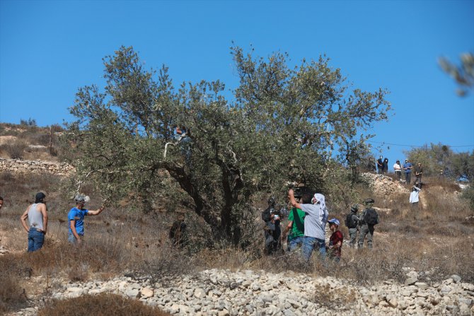 İsrail güçleri Batı Şeria'da Filistinli 3 çiftçiyi yaraladı