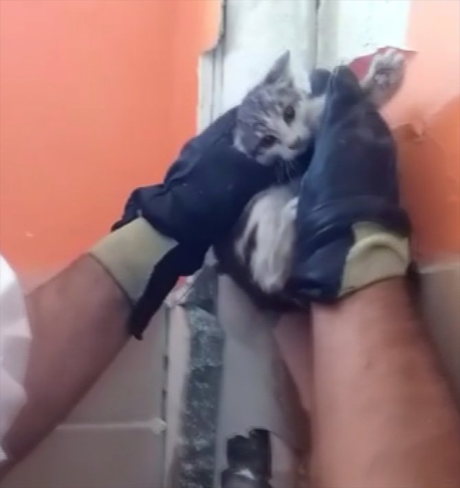Şanlıurfa'da atık borusuna sıkışan kedi yavrusu kurtarıldı