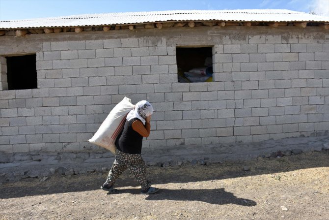 Muş'ta kırsalda yaşayan kadınlar "hayatın yükünü" omuzluyor