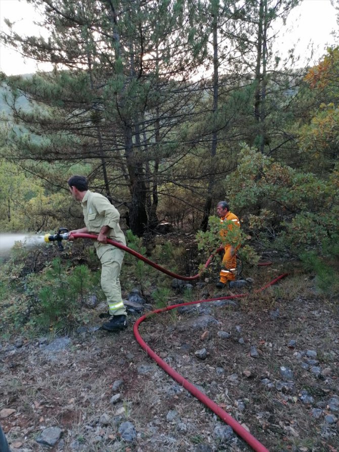 Kastamonu'da orman yangınında 2 hektar alan zarar gördü