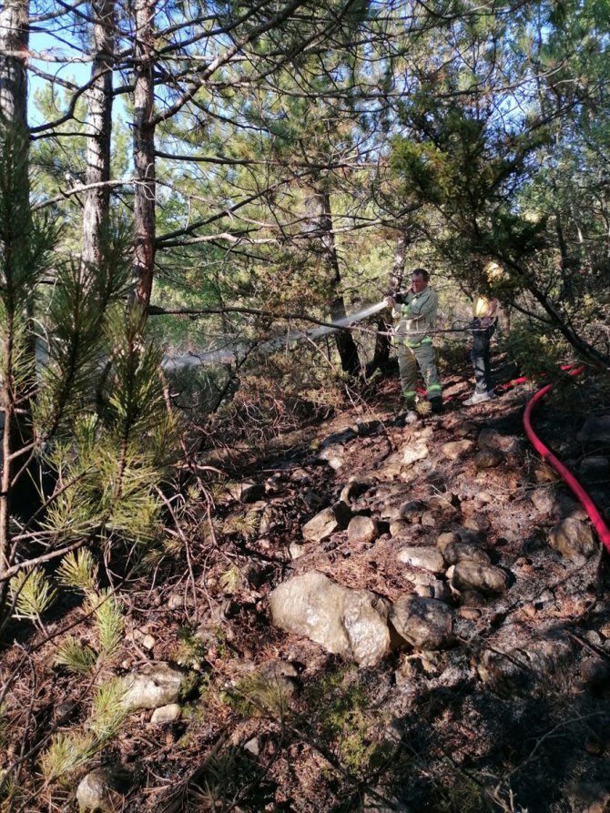 Kastamonu'da orman yangınında 2 hektar alan zarar gördü