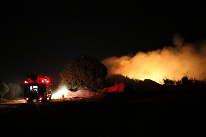 Mersin'de araştırma enstitüsünün bahçesinde çıkan yangın söndürüldü