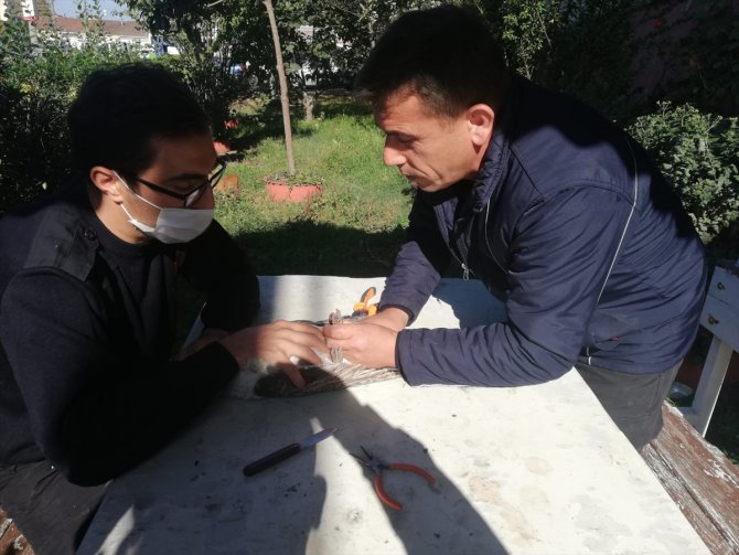 Zonguldak'ta oltaya takılan martıyı itfaiye ekipleri kurtardı