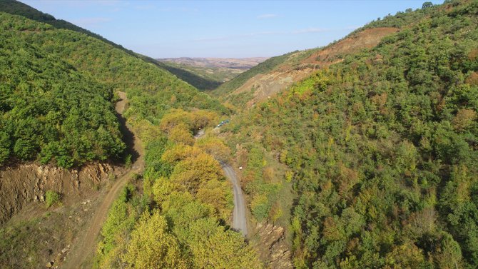 Ganos Dağı eteklerindeki ormanlar sonbaharda görsel şölen sunuyor