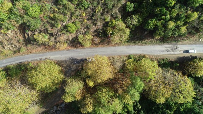 Ganos Dağı eteklerindeki ormanlar sonbaharda görsel şölen sunuyor