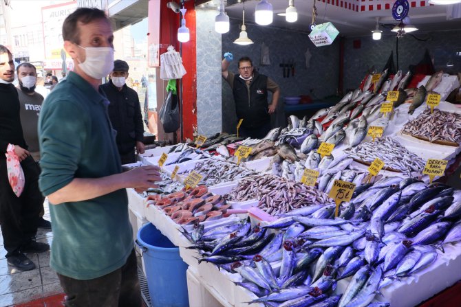 Samsun'da palamut tezgahlarda 15-20 liradan satılıyor