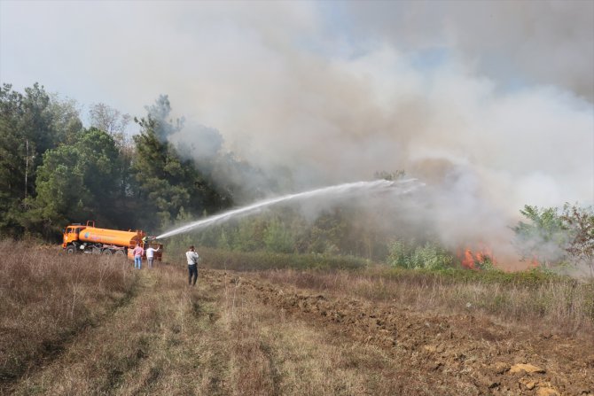 Samsun'da ağaçlık alanda çıkan yangın ekiplerin müdahalesiyle söndürüldü